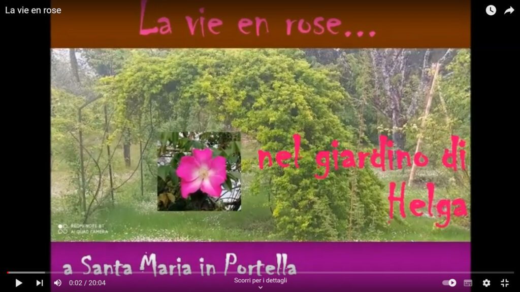 La Vie en Rose